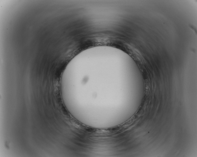 X0000097890369200803141010