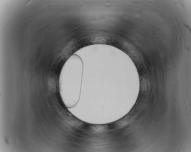 X0000097890370200803141010