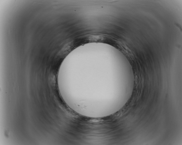 X0000097890375200803141010