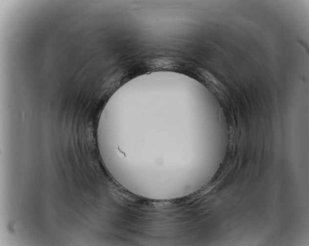 X0000097890377200803141010