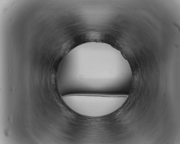 X0000097890379200803141010