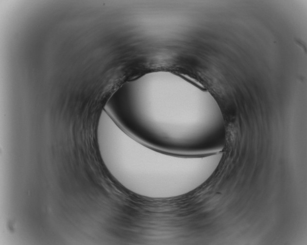 X0000097890380200803141010