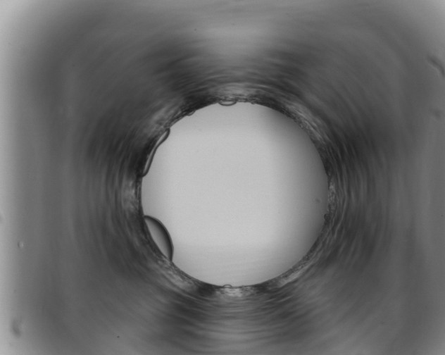 X0000097890381200803141010