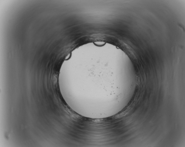 X0000097890382200803141011