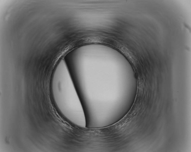 X0000097890386200803141010