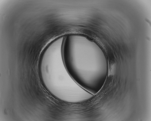 X0000097890387200803141010