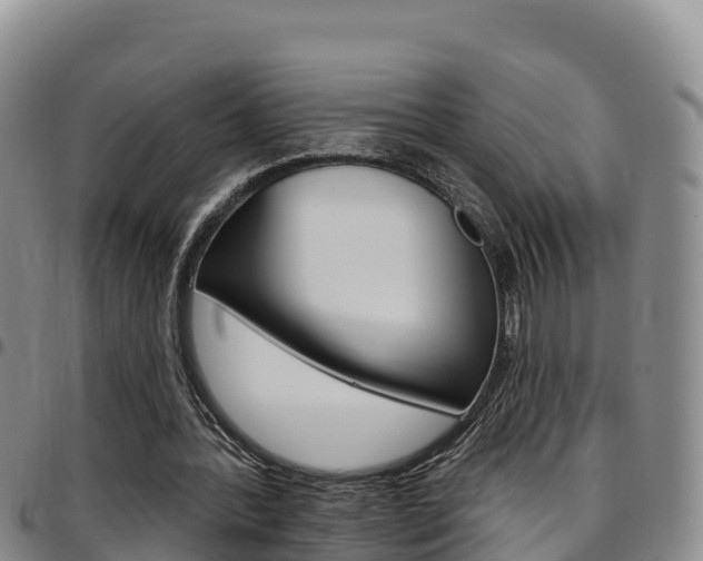 X0000097890388200803141010
