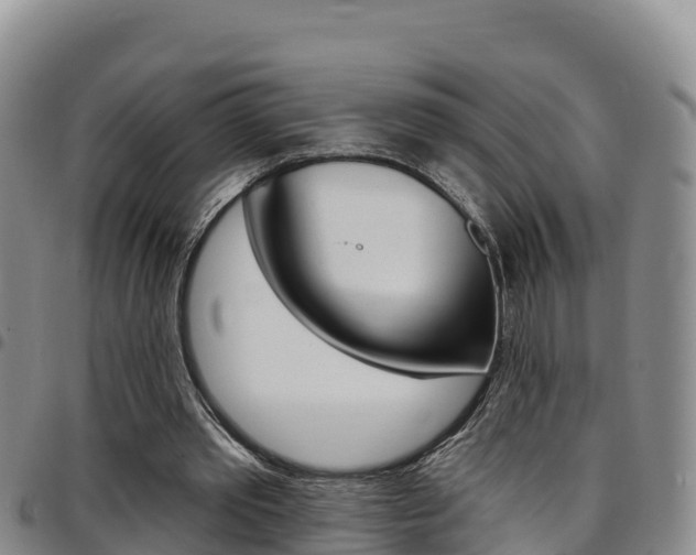 X0000097890389200803141010