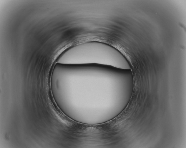 X0000097890390200803141010