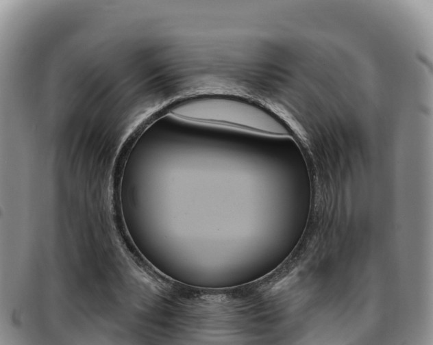 X0000097890391200803141010