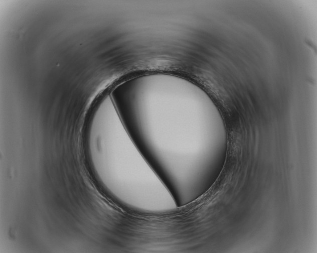 X0000097890392200803141010