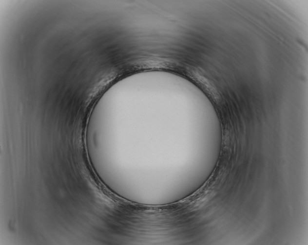 X0000097890394200803141010