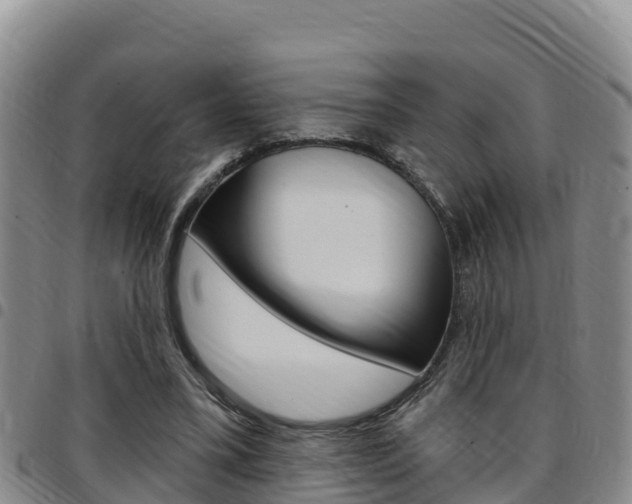 X0000097890395200803141010