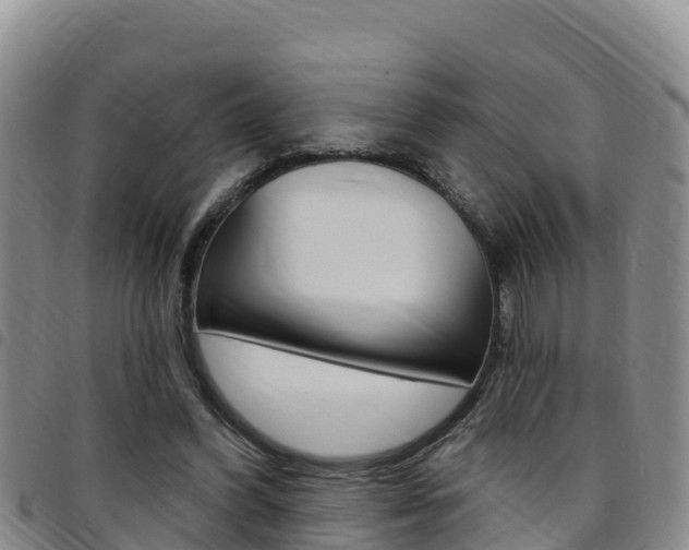 X0000097890396200803141010