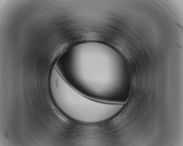 X0000097890397200803141010