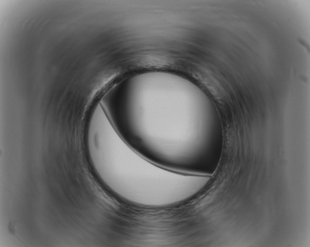 X0000097890399200803141010