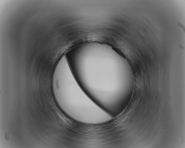 X0000097890401200803141010