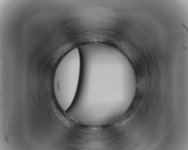 X0000097890402200803141010