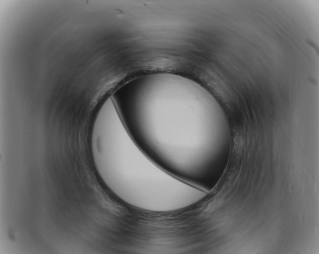 X0000097890403200803141010