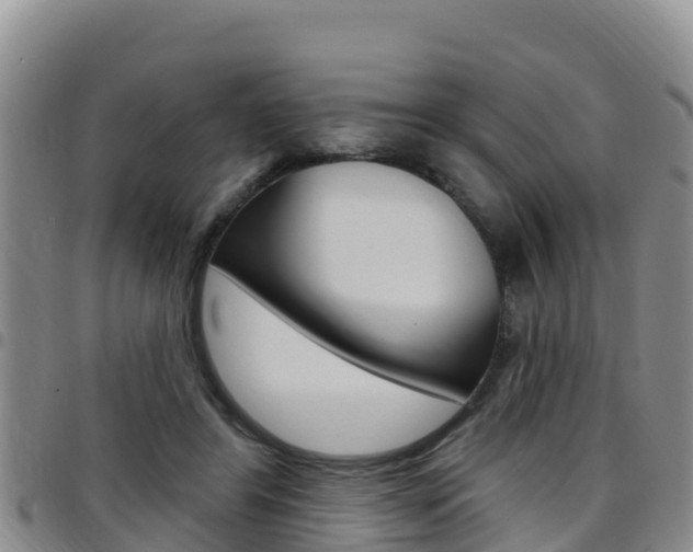 X0000097890404200803141010