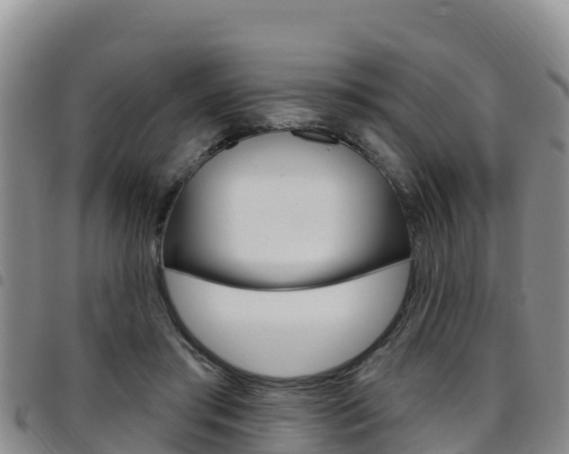 X0000097890405200803141010