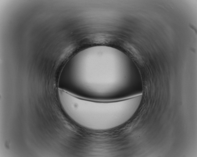 X0000097890407200803141010