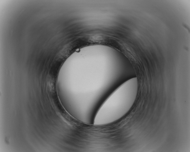 X0000097890408200803141010