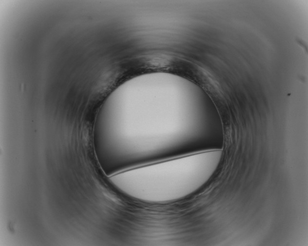 X0000097890412200803141010