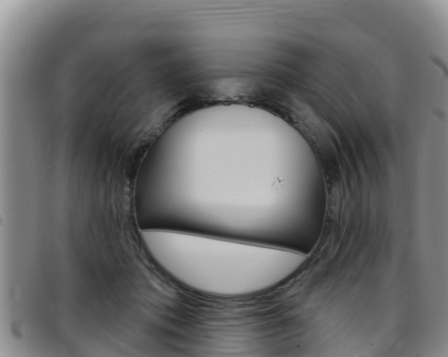 X0000097890413200803141010