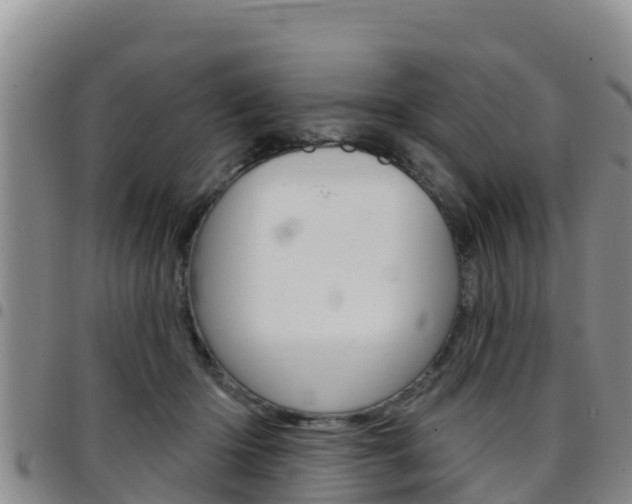 X0000097890414200803141009