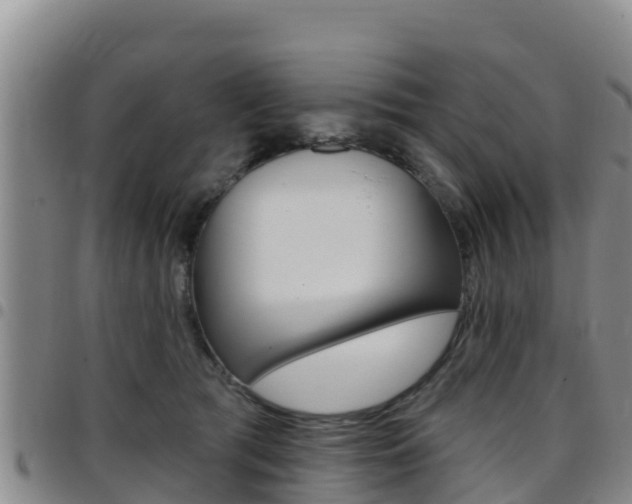 X0000097890417200803141009