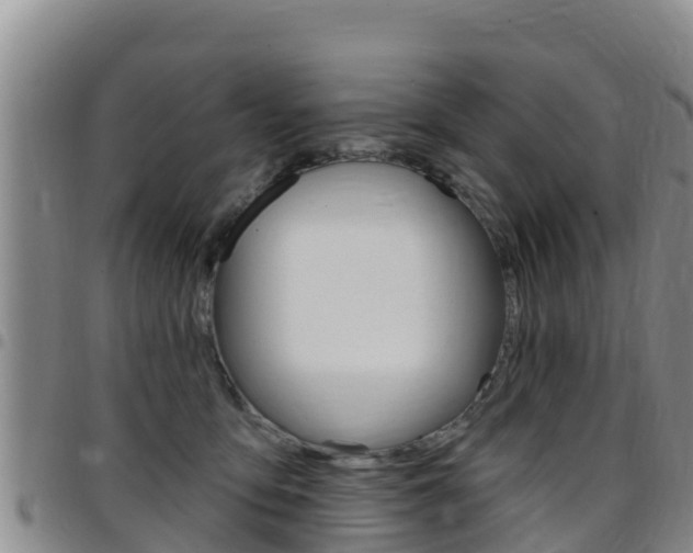 X0000097890419200803141009