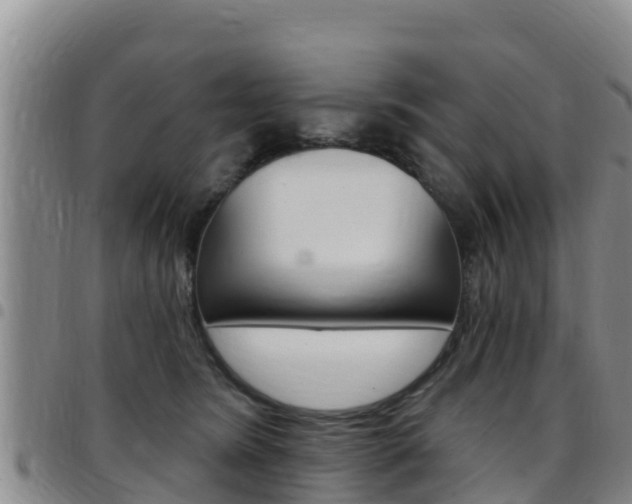 X0000097890420200803141009