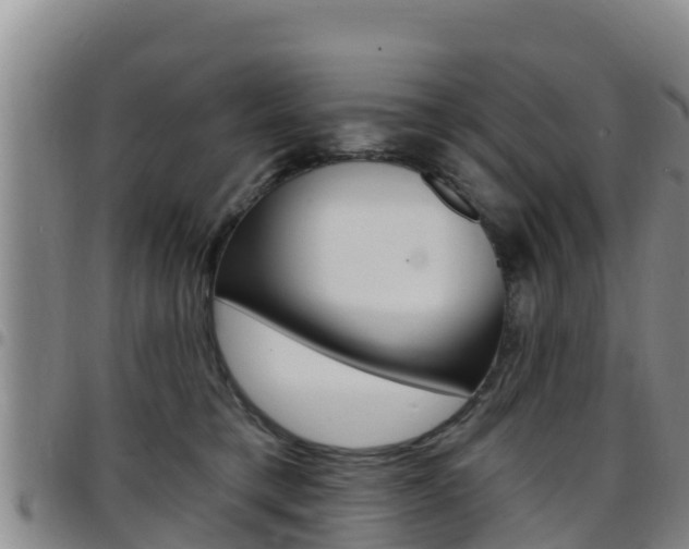 X0000097890421200803141009