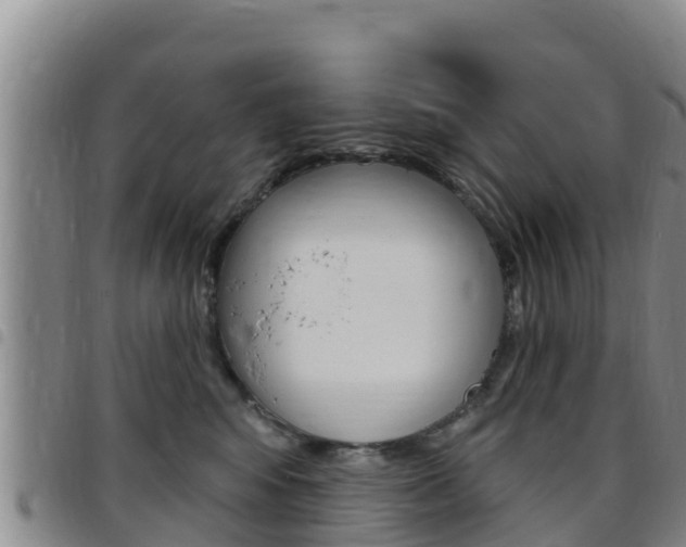 X0000097890424200803141009