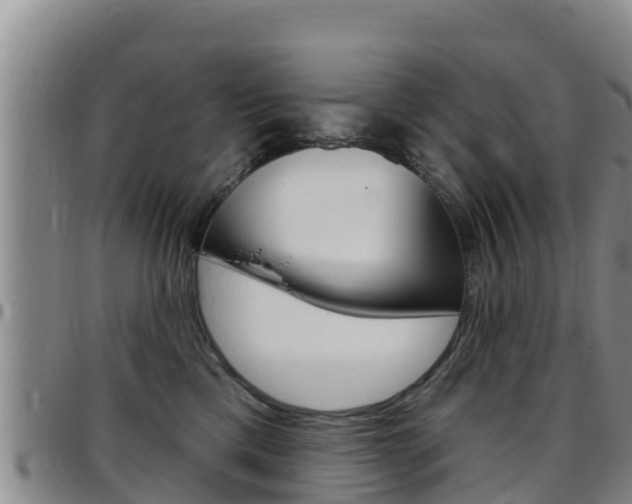 X0000097890425200803141009