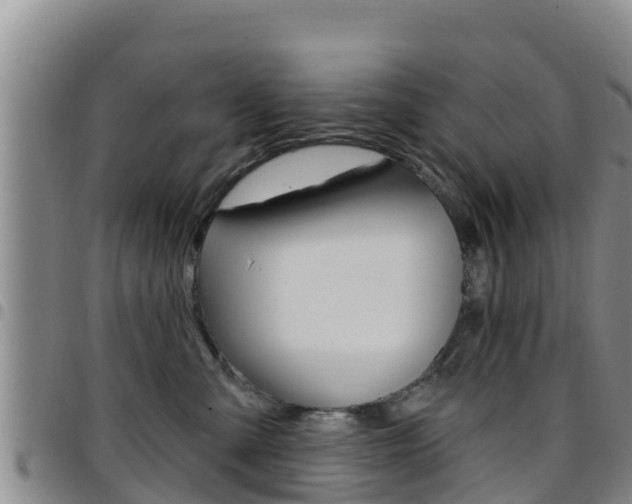 X0000097890427200803141009