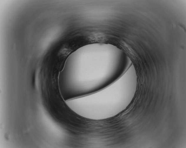 X0000097890429200803141009