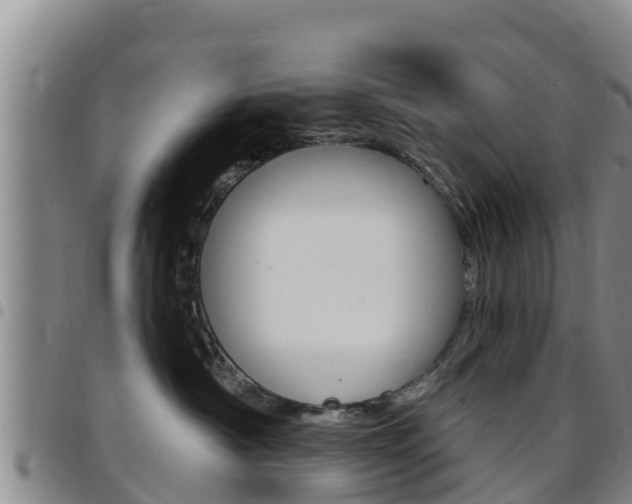 X0000097890430200803141009