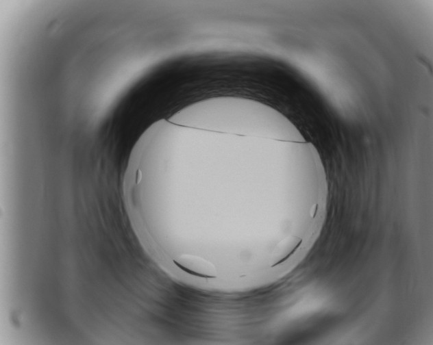 X0000097890431200803141009