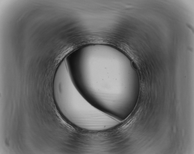 X0000097890433200803141008