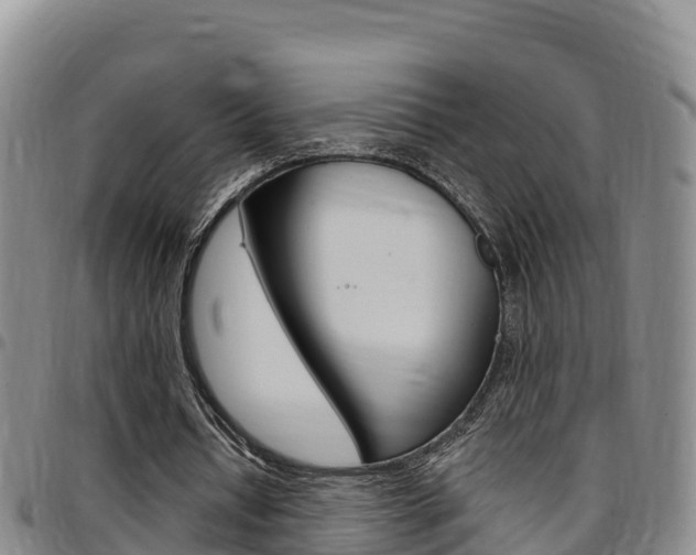 X0000097890434200803141008