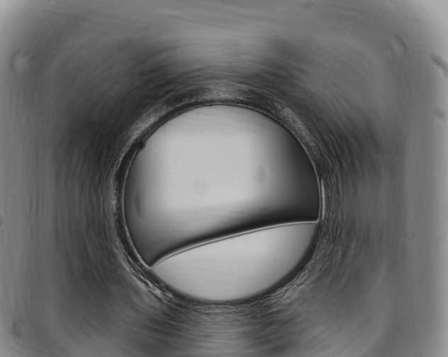 X0000097890435200803141008