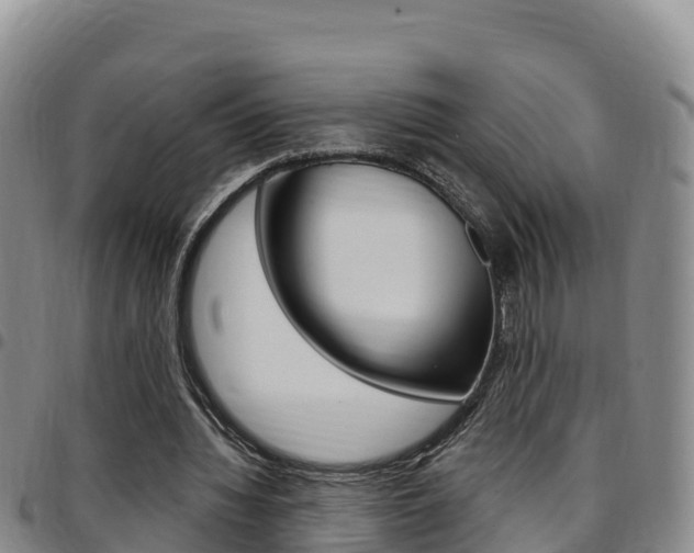 X0000097890436200803141008