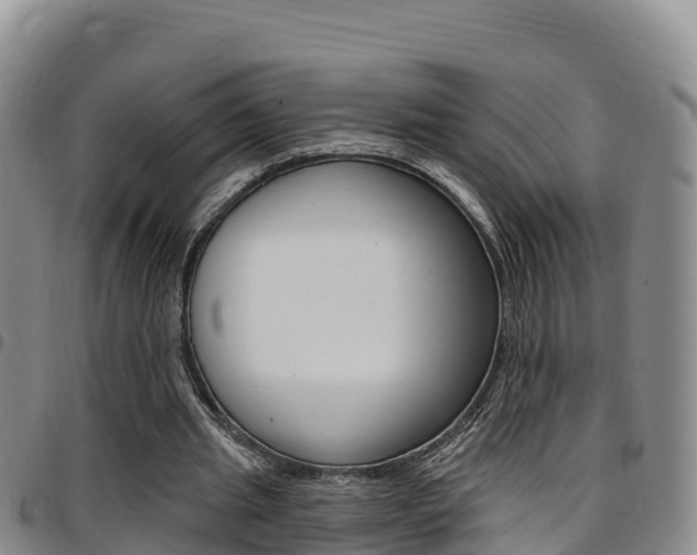 X0000097890437200803141008