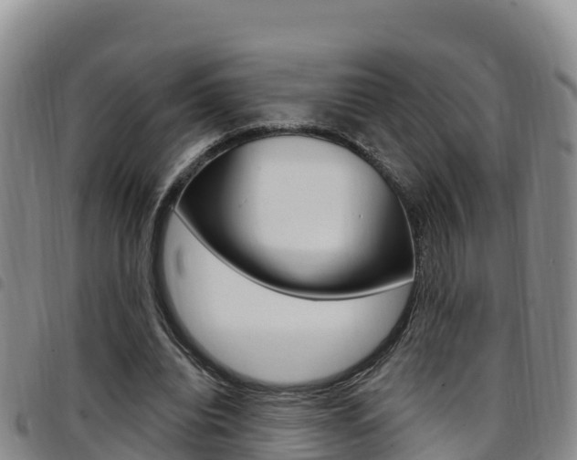 X0000097890440200803141009