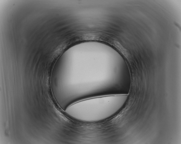 X0000097890441200803141009