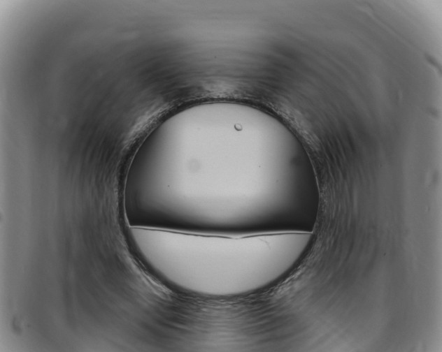 X0000097890442200803141009