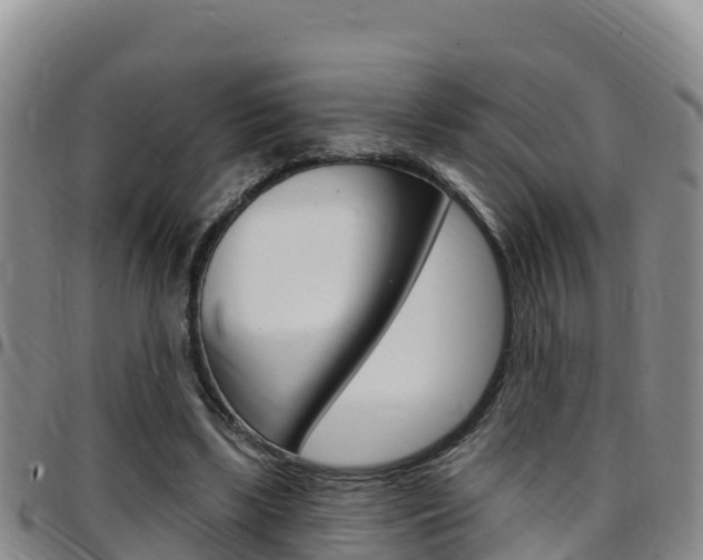 X0000097890443200803141009