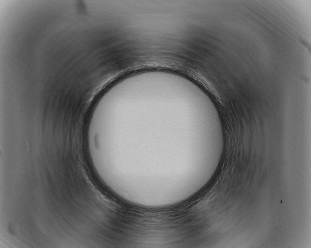 X0000097890444200803141009